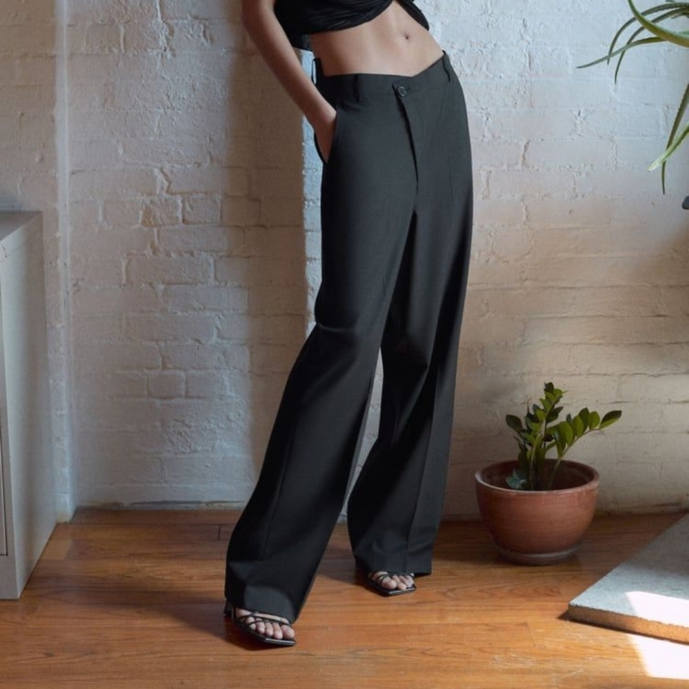 Zara Asymmetric Wide Leg Pants
